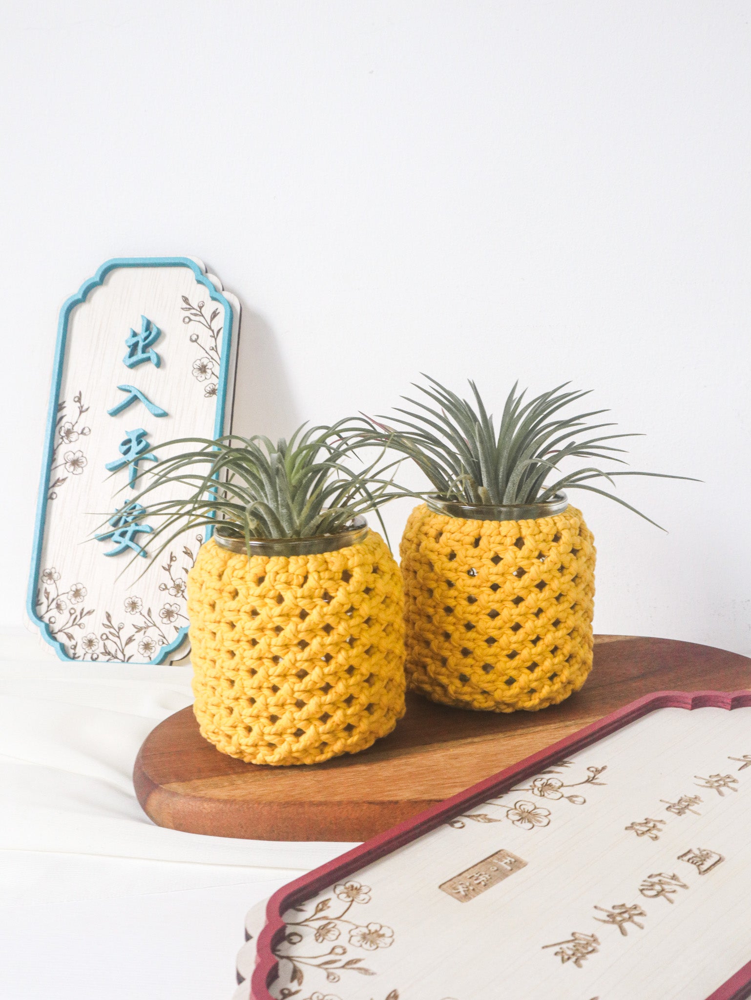 air plant in chinese Chinese New Year Decor 2025 | Macrame Onglai Airplant | The Jomu Co