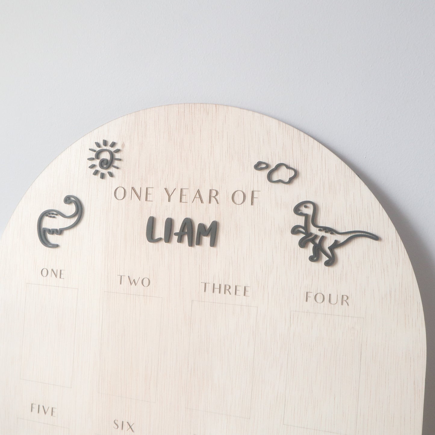 DINO Baby One Year Milestone Photo Board