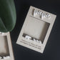 CLEO Keepsake Photo Magnet (Papa Bear)