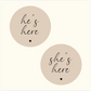 Baby Birth Announcement Wood Sign | Heart