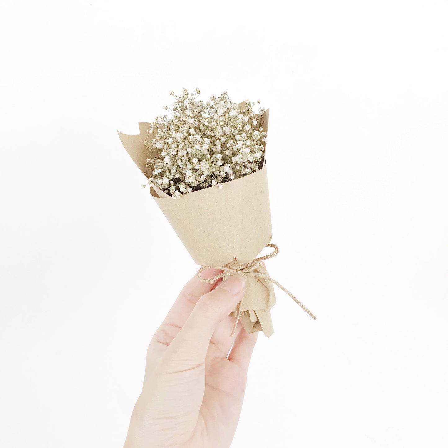Dried Mini Blooms (Baby’s Breath)