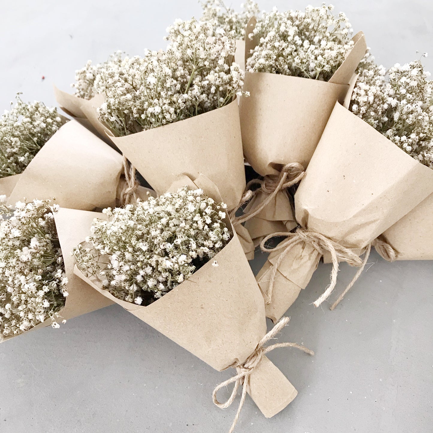 Dried Mini Blooms (Baby’s Breath)